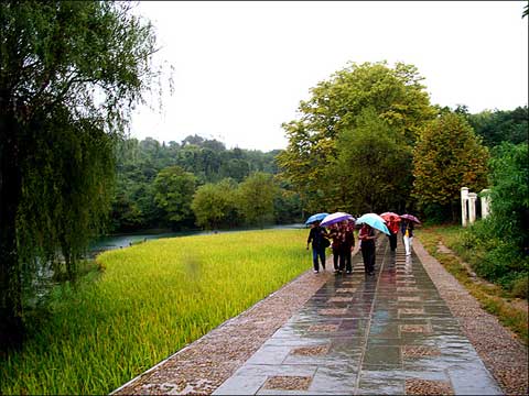 白露节气话华西秋雨